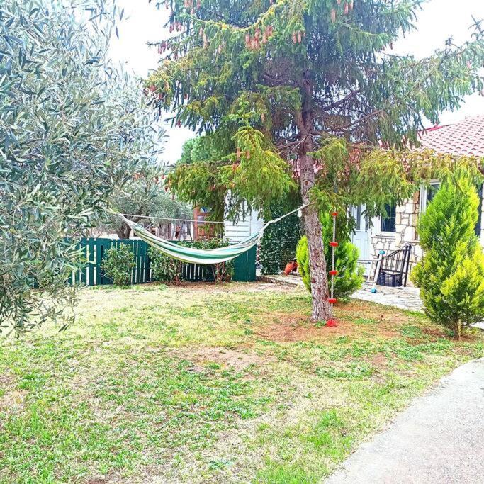 Tagarades Πετρινη Κατοικια Στην Φυσηヴィラ エクステリア 写真