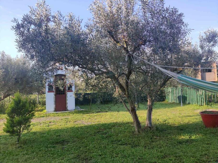 Tagarades Πετρινη Κατοικια Στην Φυσηヴィラ エクステリア 写真