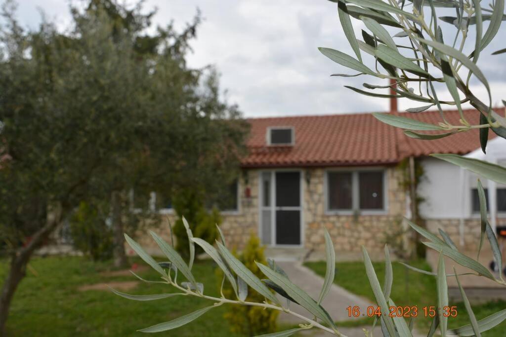 Tagarades Πετρινη Κατοικια Στην Φυσηヴィラ エクステリア 写真
