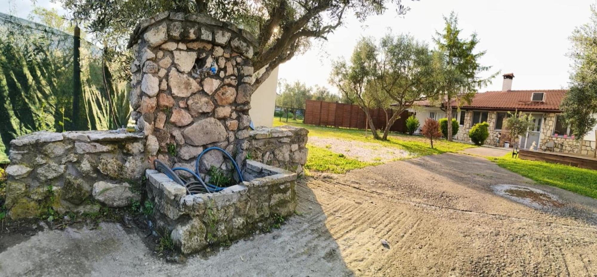 Tagarades Πετρινη Κατοικια Στην Φυσηヴィラ エクステリア 写真